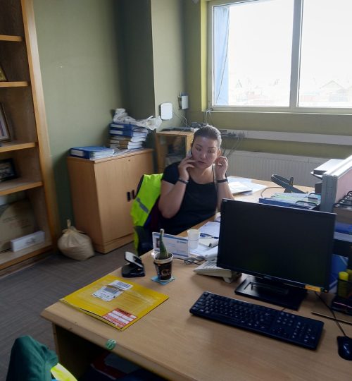 Myynitpäällikkö Mongolia