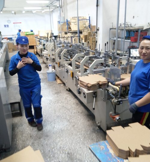 mongolia liimauskone